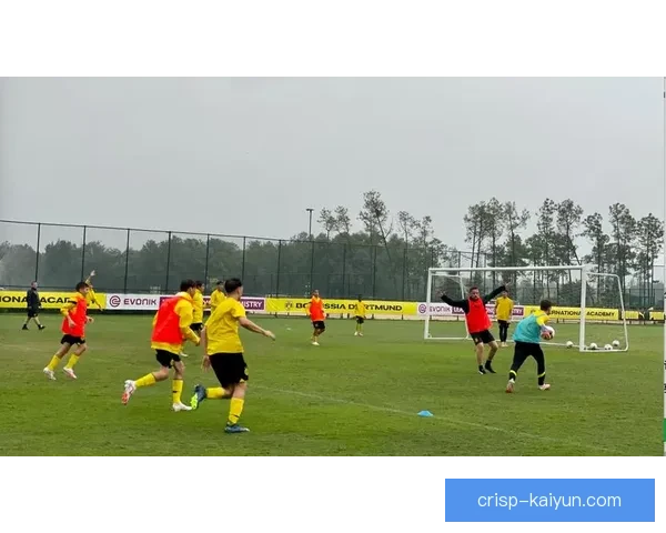 多特青训实力持续提升，培养新星备受关注