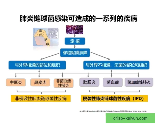 法马攻防平衡研究揭示经济政策对市场稳定的重要性，值得关注